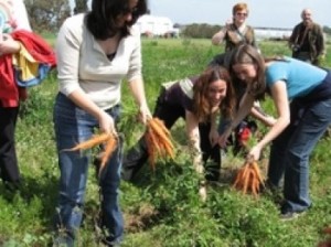 Aziende agricole in crescita in Italia: merito del biologico.