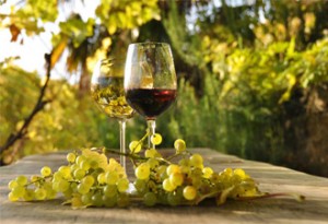 Una regolamentazione specifica per i vini biologici