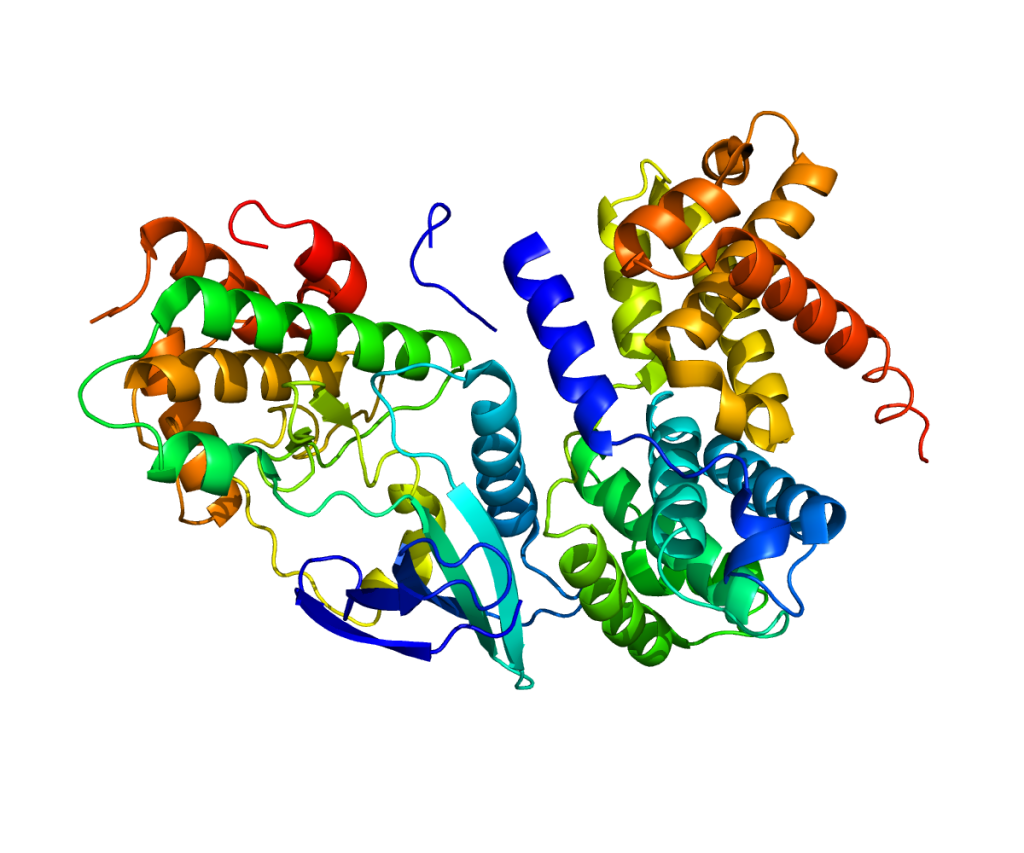 È la proteina CLC1 la responsabile del tumore al cervello